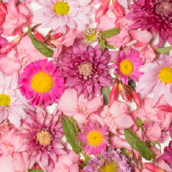 Floral